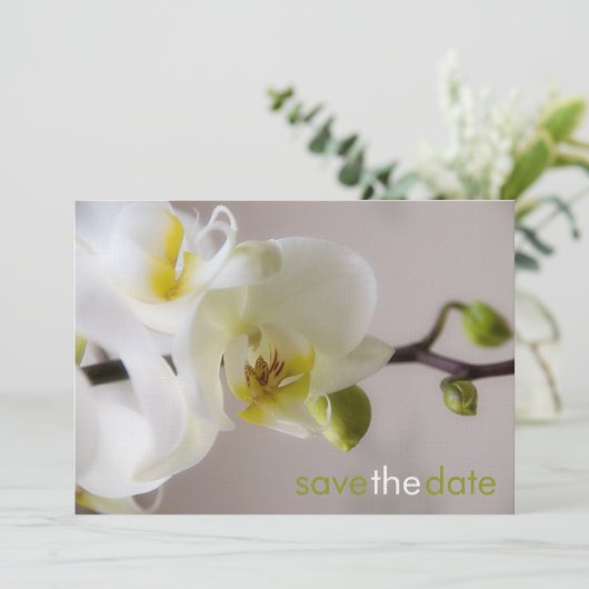 Weiße Orchidee ・ Save the Date Karte (Stehend Vorderseite)
