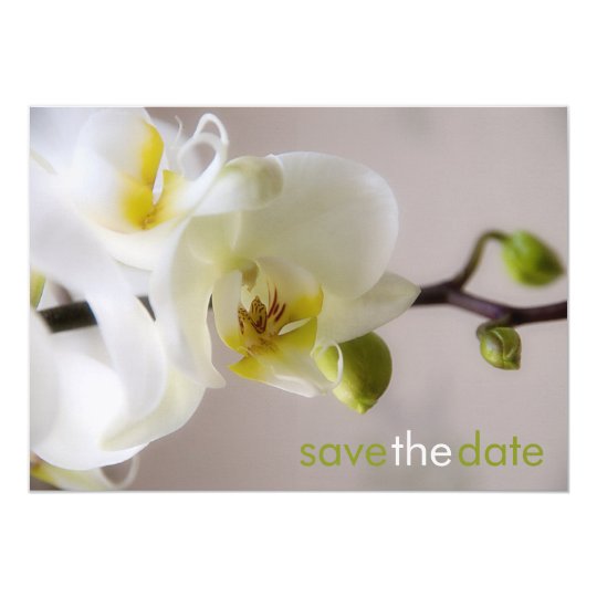 Weiße Orchidee • Save the Date Karte 12,7 X 17,8 Cm Einladungskarte