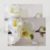 Weiße Orchidee Save the Date Postkarte (Vorne/Hinten)