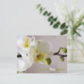 Weiße Orchidee Save the Date Postkarte (Stehend Vorderseite)