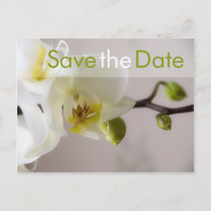 Weiße Orchidee Save the Date Postkarte