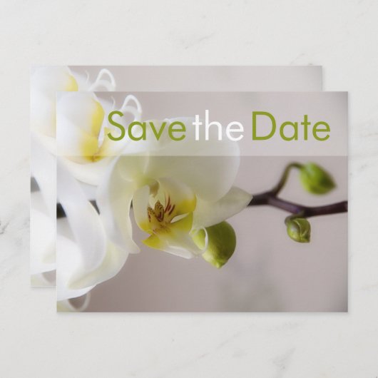 Weiße Orchidee Save the Date Postkarte (Vorne/Hinten)