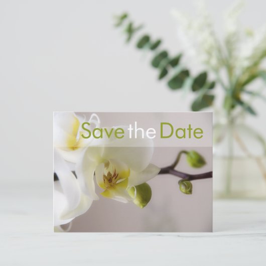 Weiße Orchidee Save the Date Postkarte (Stehend Vorderseite)