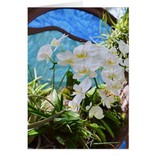 "Weiße Orchideen" (Vorne)