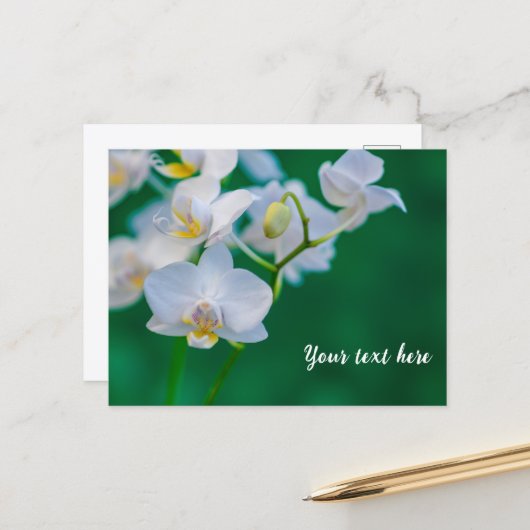 Weiße Orchideen auf Grün Postkarte (Vorderseite/Rückseite Beispiel)