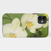 Weiße Orchideen auf grünem Hintergrund Case-Mate iPhone Hülle (Rückseite (Horizontal))