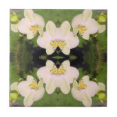 Weiße Orchideen auf grünem Hintergrund Fliese (Vorderseite)