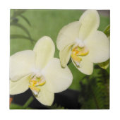 Weiße Orchideen auf grünem Hintergrund Fliese (Vorderseite)