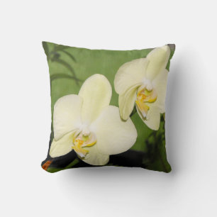 Weiße Orchideen auf grünem Hintergrund Kissen