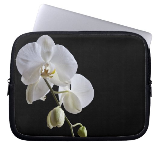 Weiße Orchideen auf schwarz Laptopschutzhülle (Vorderseite)