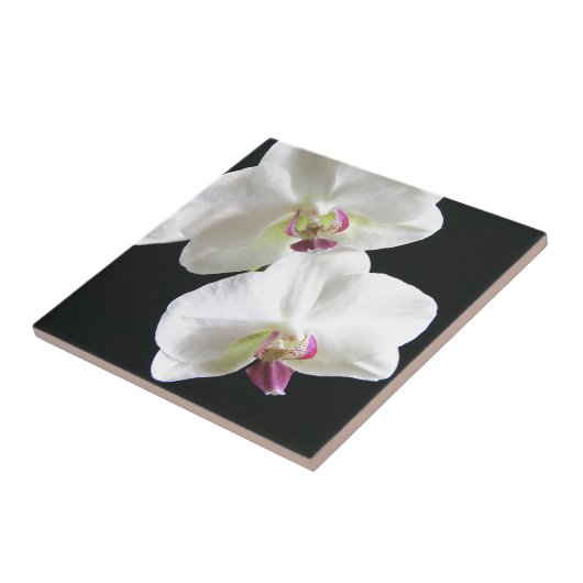 Weiße Orchideen auf Schwarzem Fliese (Seite)