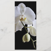 Weiße Orchideen auf Schwarzen Hochzeitsprogrammen Programm (Vorderseite)