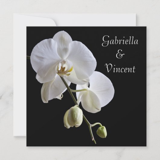 Weiße Orchideen auf Schwarzer Hochzeit Einladung (Vorderseite)