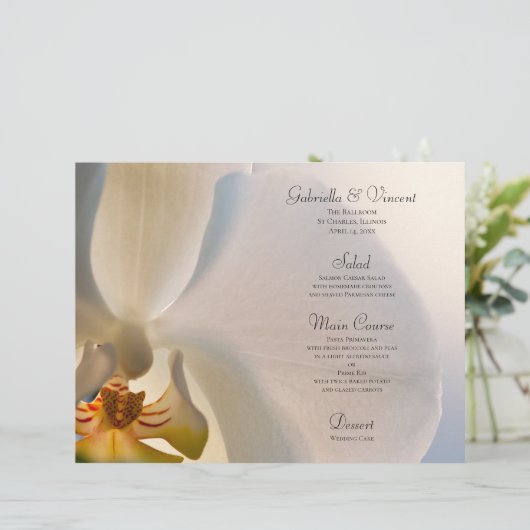 Weiße Orchideen-Blume (Stehend Vorderseite)