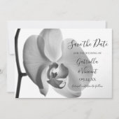 Weiße Orchideen-Blume Hochzeit Sichern Sie das Dat Save The Date (Vorderseite)