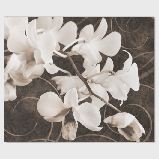 Weiße Orchideen-Blume Sepia Schwarzer Hintergrund  Geschenkpapier (Flach)