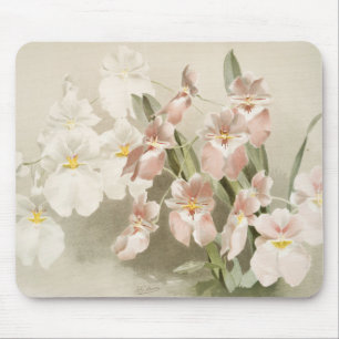 Weiße Orchideen Blume Vintag Alte Illustration Mousepad