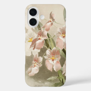 Weiße Orchideen-Blume Vintage alte Illustration iPhone 16 Hülle