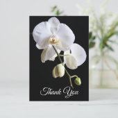 Weiße Orchideen-Blume zum Schwarzen Beerdigungsspi Dankeskarte (Stehend Vorderseite)