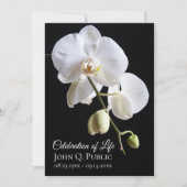 Weiße Orchideen-Blume zum Schwarzen Fest des Leben Einladung (Vorderseite)