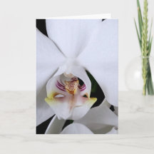 Weiße Orchideen-Blumen-Grußkarte