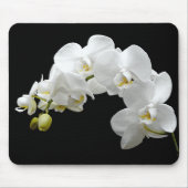 Weiße Orchideen-Blüte Mousepad (Vorne)