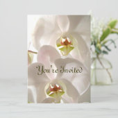 Weiße Orchideen_ Einladung (Stehend Vorderseite)