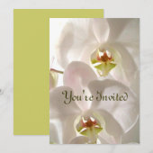 Weiße Orchideen_ Einladung (Vorne/Hinten)