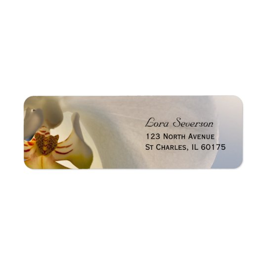 Weiße Orchideen-Eleganz-Rücksendeadresse