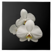Weiße Orchideen Fliese (Vorderseite)