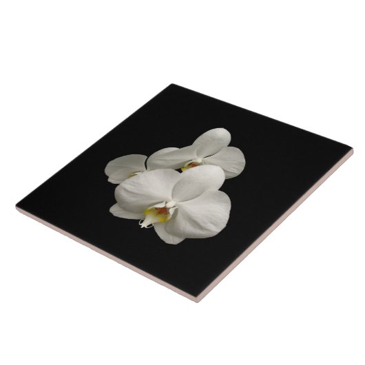 Weiße Orchideen Fliese (Seite)