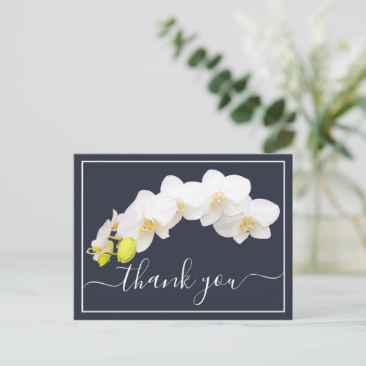 Weiße Orchideen gegen den Hintergrund der Marine V Postkarte (Stehend Vorderseite)