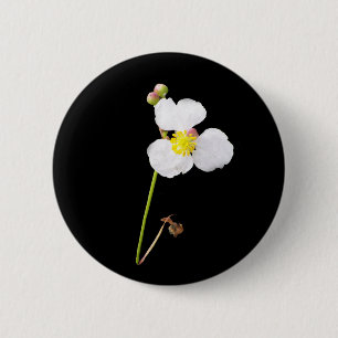 Weiße Orchideen-Geschenke und Kleid Button