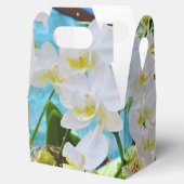 Weiße Orchideen Geschenkschachtel (Geöffnet)