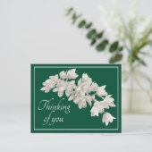 Weiße Orchideen Grüner Hintergrund Postkarte (Stehend Vorderseite)