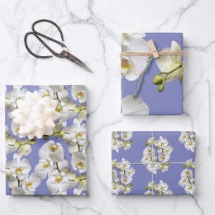 Weiße Orchideen Immergrün Blau Lavendel Geschenkpapier Set