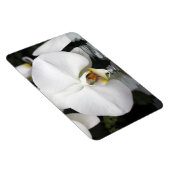 Weiße Orchideen in Wasser, flexibles Foto Magnet (Rechte Seite)