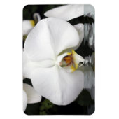 Weiße Orchideen in Wasser, flexibles Foto Magnet (Vertikal)