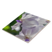 Weiße Orchideen-Keramikfliese Fliese (Seite)