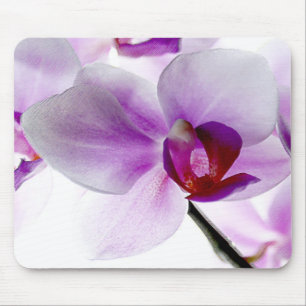 Weiße Orchideen Mousepad