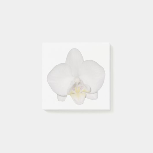 Weiße Orchideen-Notizzettel Post-it Klebezettel (Vorderseite)