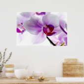 Weiße Orchideen Poster (Küche)