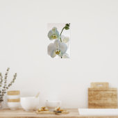 Weiße Orchideen Poster (Küche)