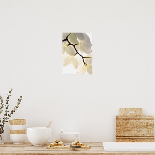 Weiße Orchideen Poster (Küche)