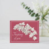 Weiße Orchideen Rosa Hintergrund Denken Sie an Sie Postkarte (Stehend Vorderseite)