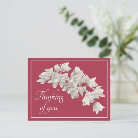 Weiße Orchideen Rosa Hintergrund Denken Sie an Sie Postkarte (Stehend Vorderseite)