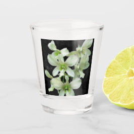 Weiße Orchideen Schnapsglas