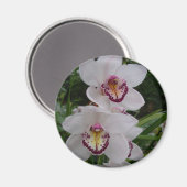 Weiße Orchideen Schöne tropische Blume Magnet (Vorderseite/Rückseite)