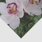 Weiße Orchideen Schöne tropische Blume Seidenpapier (Ausschnitt)