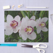 Weiße Orchideen Schöne tropische Blume Seidenpapier (Handwerk)